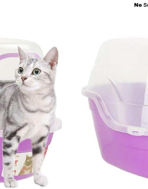 Load image into Gallery viewer, Covered Litter Box, Jumbo Hooded Cat Litter Box Holds up to Two Small Cats Simultaneously,Extra Large Purple by
