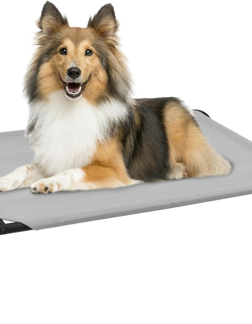 Load image into Gallery viewer, Heavy Duty Steel-Framed Portable Elevated Pet Bed, Elevated Cooling Pet Cot
