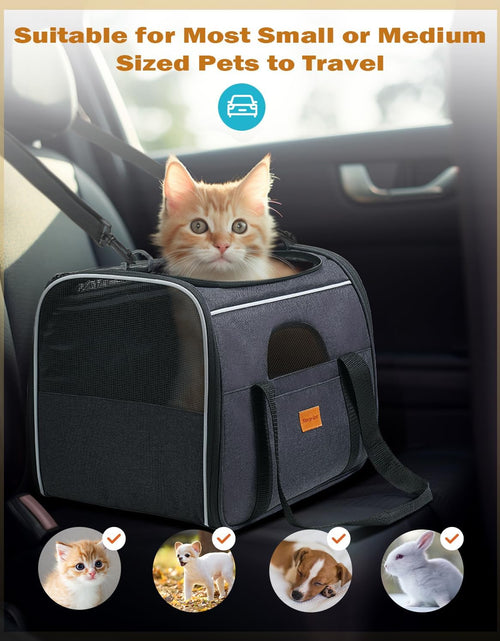 Load image into Gallery viewer, Pet Travel Carrier Bag, Portable Pet Bag - Folding Fabric Pet Carrier, Travel Carrier Bag for Dogs or Cats, Pet Cage with Locking Safety Zippers, Foldable Bowl, Airline Approved
