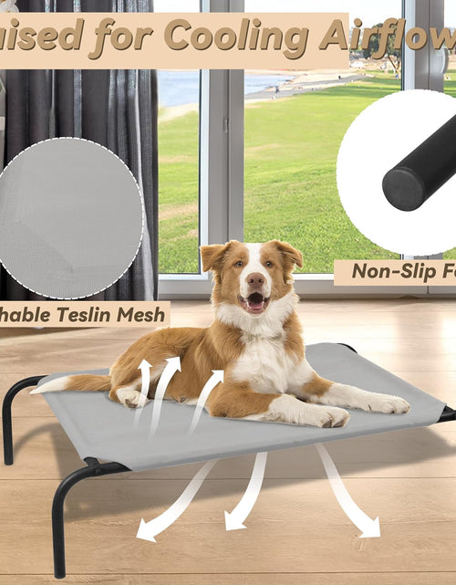 Load image into Gallery viewer, Heavy Duty Steel-Framed Portable Elevated Pet Bed, Elevated Cooling Pet Cot
