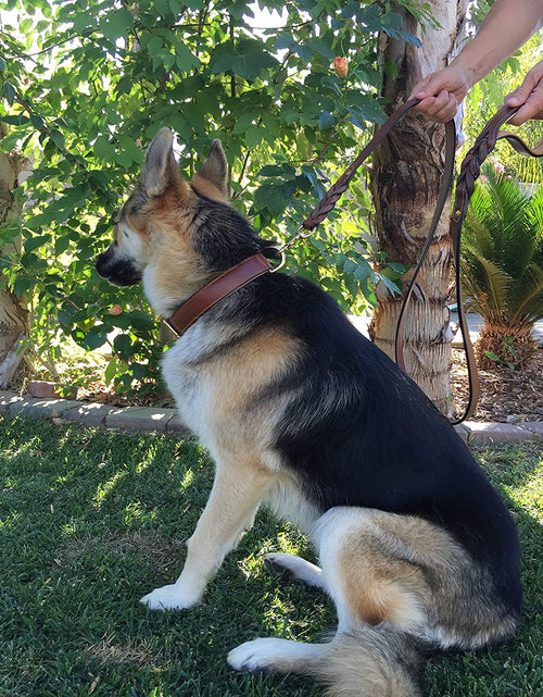 Load image into Gallery viewer, Leather Braided Dog Leash, Brown 6Ft X 3/4 Inch, Naturally Tanned 6 Foot Full Grain Leather Lead
