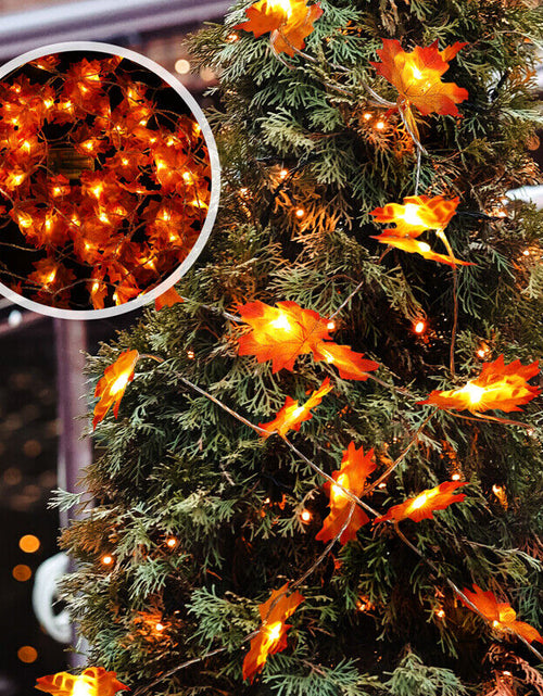 Load image into Gallery viewer, 20FT Fall Thanksgiving Maple Leaves 40 LED Light Lamp Garland Festival Decor
