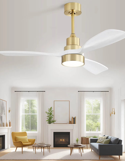 Load image into Gallery viewer, Modern 48-Inch Ceiling Fan with LED DC 6-Speed High Wind Speed with Remote Control
