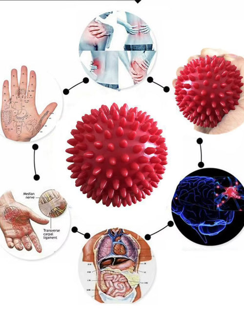 Load image into Gallery viewer, 7.5Cm/9.5Cm Yoga Studio Spikey Massage Gym Balls Spiky Stress Reflexology
